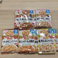 【匿名発送】WAKODO 離乳食セット 9ヶ月以上 9食分
