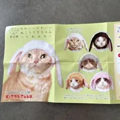 2026年最新】ねこうさぎちゃんの人気アイテム - メルカリ