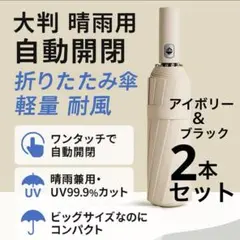 大判 晴雨兼用 自動開閉 折りたたみ傘 軽量 耐風 2本セット