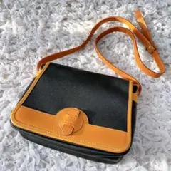 Item thumbnail for item 05c56a97-3f28-4966-a0e4-29ea3638fd8b