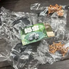 猫虫 ガチャ 全5種 ミニフィギュア