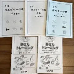 2024年 2025 6年生　最新　サピックス基礎トレーニング 2024年 2025 6年生 最新 サピックス基礎トレーニング 2024年
