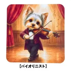 ヨークシャーテリア【バイオリニスト】ステッカーのサムネイル