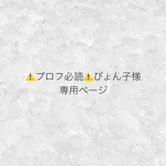 ⚠️プロフ必読⚠️ぴょん子様 専用ページ