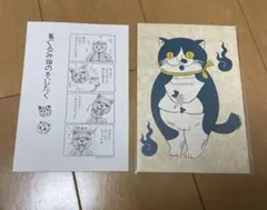 m48729074646_1.jpg?1764415187