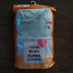 Item thumbnail for item 6db177c4-3c7d-4942-a960-9c8301a01930