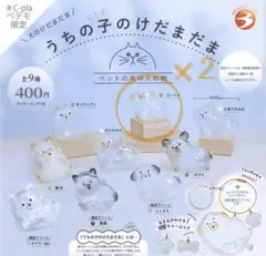 うちの子のけだまだま 犬 プードル 2点セット