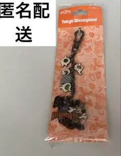 未使用　ディズニーランド　2012 ハロウィン　キーチェーン