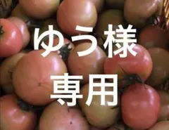 ゆう様 専用のサムネイル