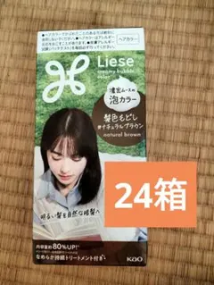 リーゼ 泡カラー ナチュラルブラウン 24箱のサムネイル