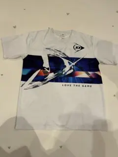 Item thumbnail for item 1834a3a7-ffe0-4309-887d-f0c57c6cdef7