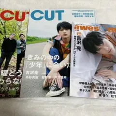cut awesome 雑誌 吉沢亮