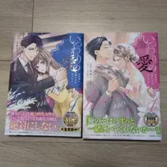 いつわりの愛～契約婚の旦那さまは甘すぎる～（3）(4)のサムネイル