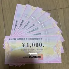 ビックカメラ　株主優待　7000円分