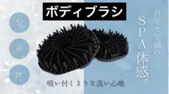 Item thumbnail for item 151e6aad-7a99-423d-8205-b2f4a2efa019