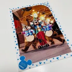 スペシャルフォト　ディズニーシー　クリスマス2010 グーフィーチーデースペフォ