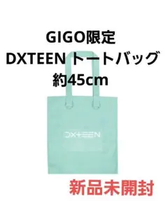 新品 GIGO 限定 DXTEEN トートバッグ