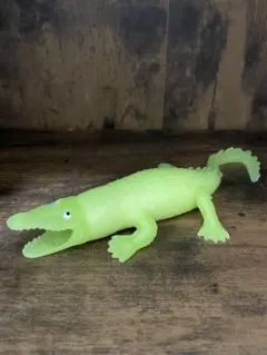 宝島社　トカゲ&ワニ　レア　イリエワニ　蓄光