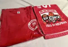 【新品非売品】名古屋ダイヤモンドドルフィンズ Tシャツ＆タオルセット