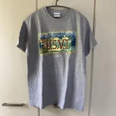 ヴィンテージ　カーニバル　古着Tシャツ グレー