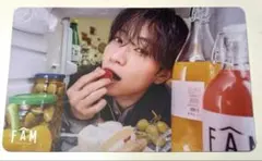 timelesz アルバム FAM トレカ 通常版 菊池風磨 橋本将生