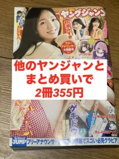 waf-red様 リクエスト 2点 まとめ商品