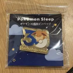 ポケモン30周年ピンバッジ イーブイ ポケモンスリープのサムネイル
