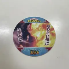 ヒロアカ　コースター　轟焦凍