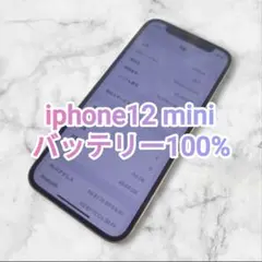 iPhone 12 mini 64GB SIMフリー バッテリー100％ 美品