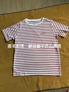 mont-bell 赤白ストライプ Tシャツ 150