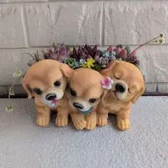 SORA♡今は購入専門です❤︎様 リクエスト 2点 まとめ商品