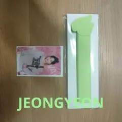 TWICE ジョンヨン うちわグリップカバー