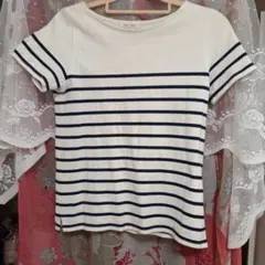 綿100% Kobe Lettuce ボーダー Tシャツ 半袖のサムネイル