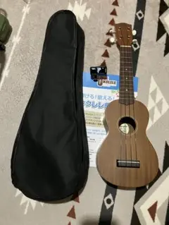 Item thumbnail for item b5e9928b-c181-4025-8993-c5612ddac46e