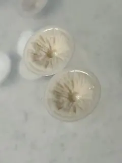 yuki.n 様専用ページ♡