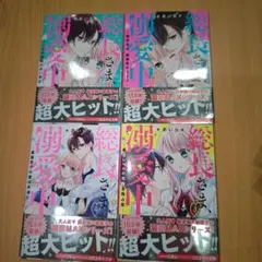 総長さま、溺愛中につき。 小説１から４セット
