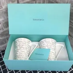 TIFFANY & CO. ティファニーノーツマグカップ　ペア