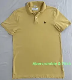 Abercrombie & Fitch ポロシャツ イエロー Mのサムネイル