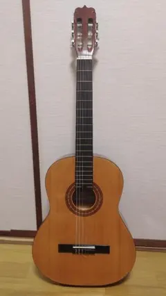 2026年最新】takamine クラシックギターの人気アイテム - メルカリ