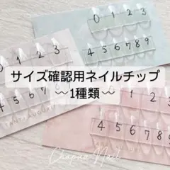 サイズ確認用ネイルチップ 1種類