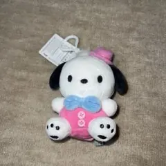ポチャッコ　韓国限定　キーホルダー