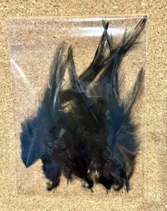 ブラック羽毛 9本