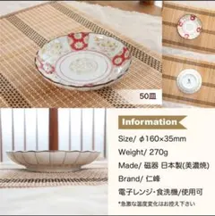新品 美濃焼 ジャポニカ菊花 お皿 5枚セット