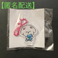 PPULBATUプルバトゥ ポップアップ カプセルトイ バムグッ　アクキー