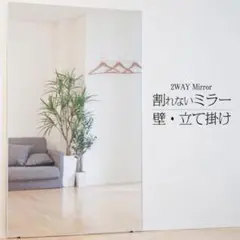 軽壁掛け鏡160x100cm銀 - メルカリ