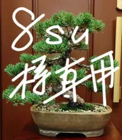 光触媒 人工観葉植物 ウォールグリーン フェイクグリーン 盆栽8675