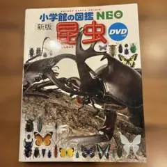 新版 昆虫 DVD付き 小学校の図鑑 NEO 美品