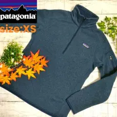 人気◆patagonia◆ハーフジップ フリースベターセーター◆XS/ブルー系