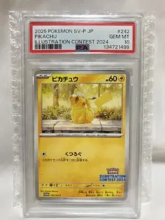 皮卡丘插畫比賽 2024 SV-P