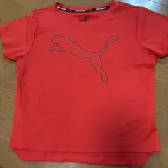 PUMA 赤 Tシャツ 120 DRYCELL